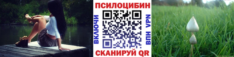 где купить наркотик  Реутов  Псилоцибиновые грибы GOLDEN TEACHER 